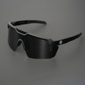 Renegade Sunglasses